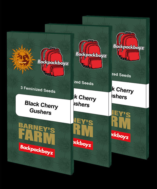 Black Cherry Gushers (Backpackboyz collab) 3 Pack