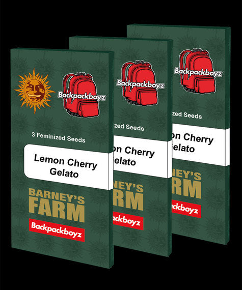 Lemon Cherry Gelato (Backpackboyz collab) 3 Pack